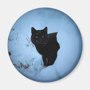 Imã Gato preto Snowy holofote