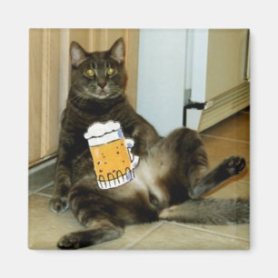 Imã Gato que come uma cerveja