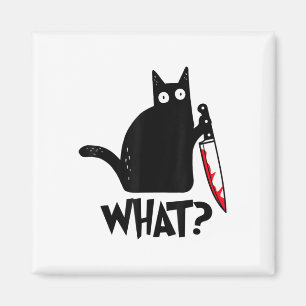 Imã Gato Que Gato Negro Engraçado, Gato Assassino Com 