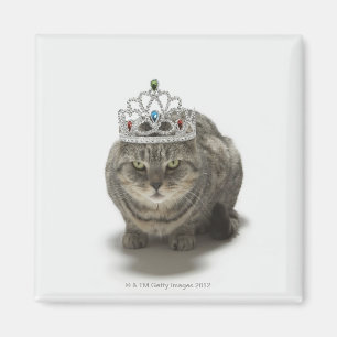 Imã Gato que veste uma tiara
