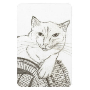 Ímã Gato Ragdolé Retrato Flexível