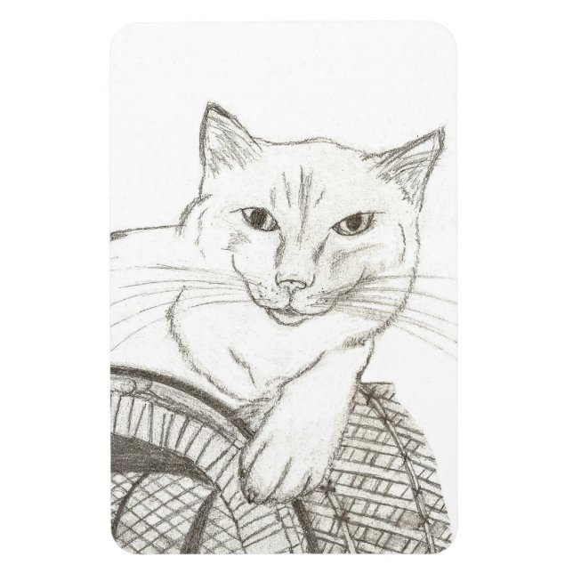 Ímã Gato Ragdolé Retrato Flexível (Vertical)