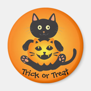 Imã Gato segurando Jack-o-Lanterna