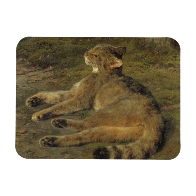 Ímã Gato selvagem (por Rosa Bonheur) (Horizontal)