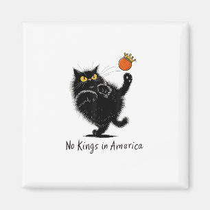 Imã Gato Sem Reis Na América Nós Povo Político