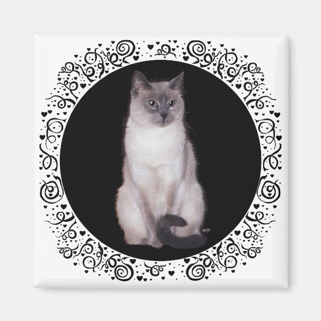 Imã Gato Siames (Frente)