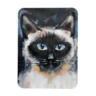 Ímã gato siamês