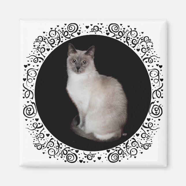 Imã Gato Siames (Frente)