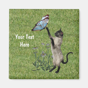 Imã Gato Siamês E Magneta De Borboleta