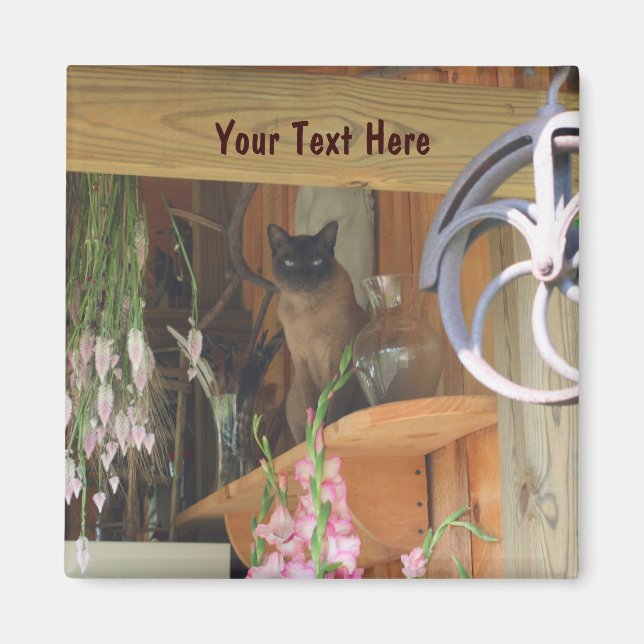 Imã Gato Siamês Possuindo Magneta De Fotografia Animal (Frente)