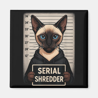 Imã Gato Siames Serial Shredder Foto Engraçado Animal