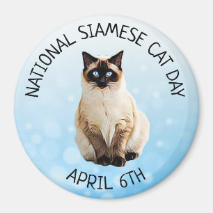 Imã Gato Siamese dia ímã nacional do 6 de abril