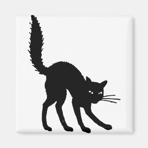 Imã Gato Silhoueen Negro Gato Assustado