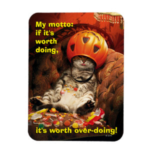 Ímã Gato Sob Balde De Doces