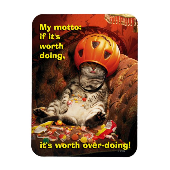 Ímã Gato Sob Balde De Doces (Vertical)