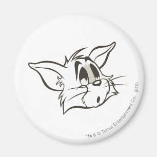 Imã Gato sonolento de Tom