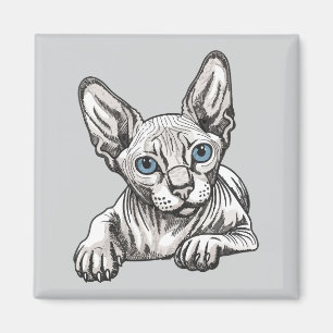 Imã Gato Sphynx sem pelos 
