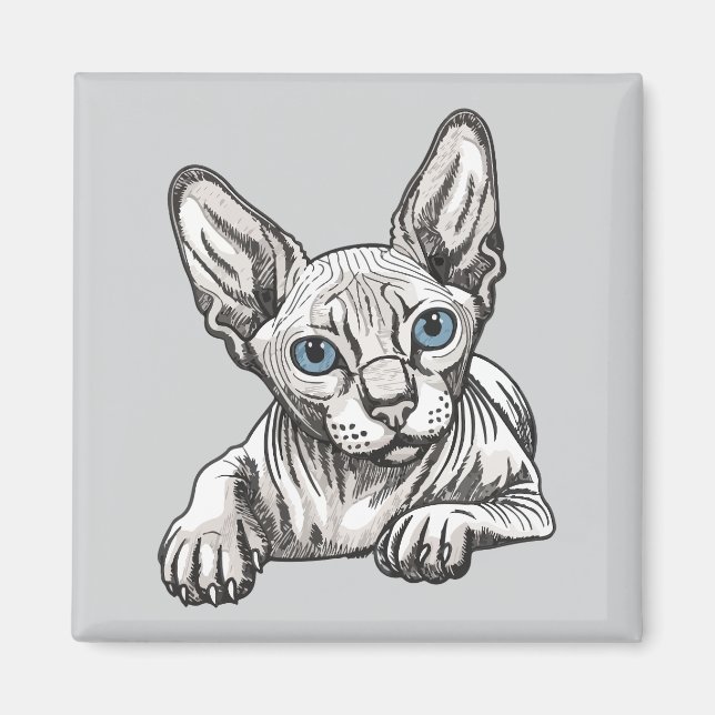 Imã Gato Sphynx sem pelos  (Frente)