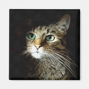 Imã Gato Tabby Com Olhos Verdes Isolado No Preto