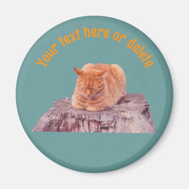 Imã Gato Tabby Laranja Adormecido Personalizado (Frente)