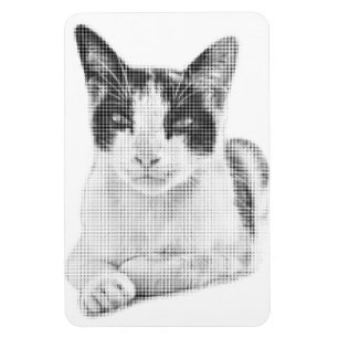 Ímã Gato Tricolor Retro Meia-Tone