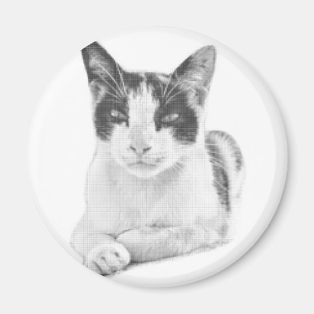 Imã Gato Tricolor Retro Meiotom (Frente)