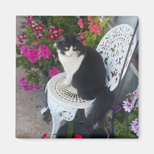 Imã Gato Tuxedo Fofo com Flores Bonitas Gatos Pretos