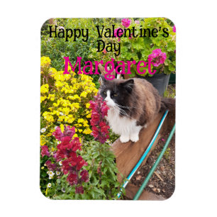 Ímã Gato Tuxedo Fofo Valentines Divertido Nome da Espo