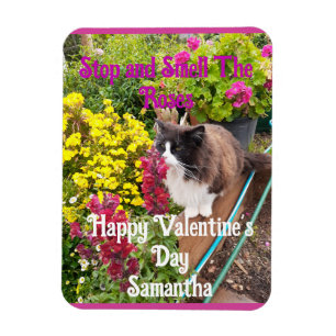 Ímã Gato Tuxedo Fungando Flores Dia dos Namorados Engr