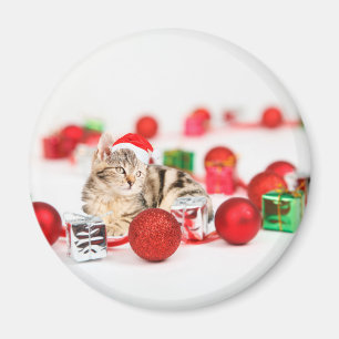 Imã Gato usando enfeite de Natal chapéu vermelho de Pa