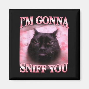 Imã Gato vai cheirar piada engraçada meme de gatos bra