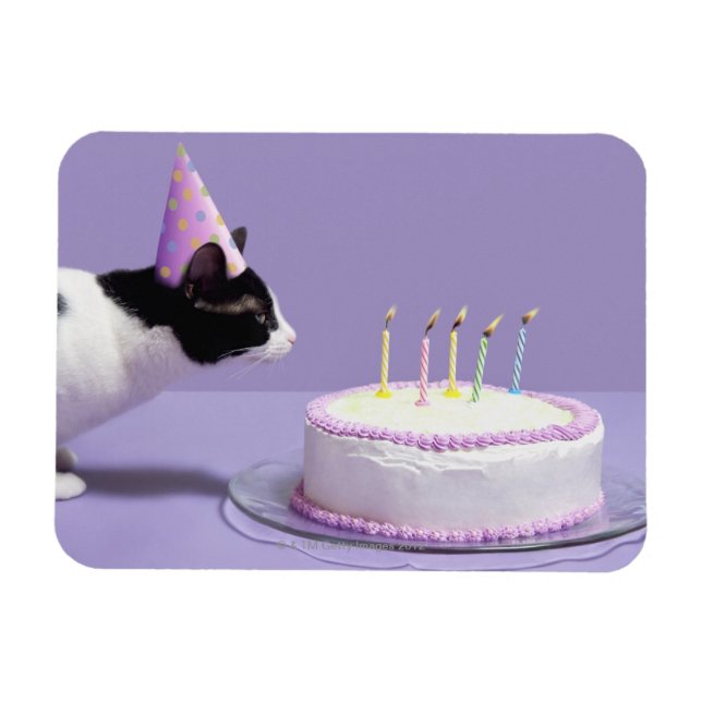 Ímã Gato vestindo chapéu de aniversário soprando velas (Horizontal)