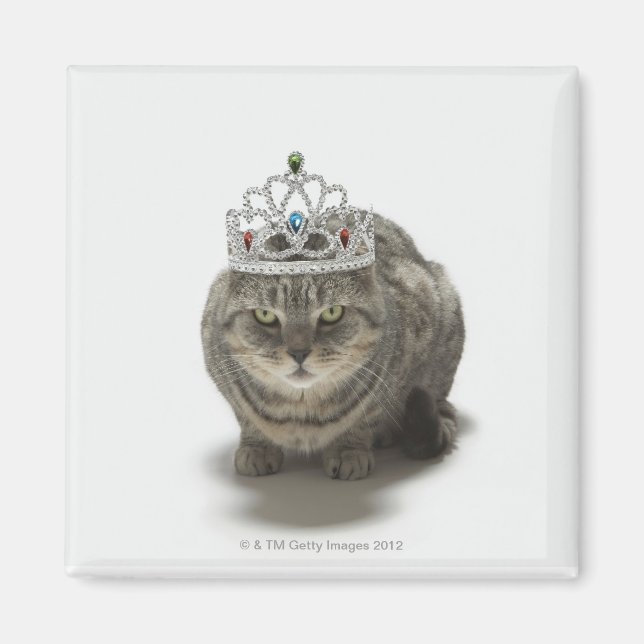 Imã Gato vestindo tiara (Frente)