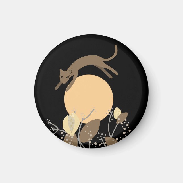 Imã Gato voando sobre a lua 2 (Frente)