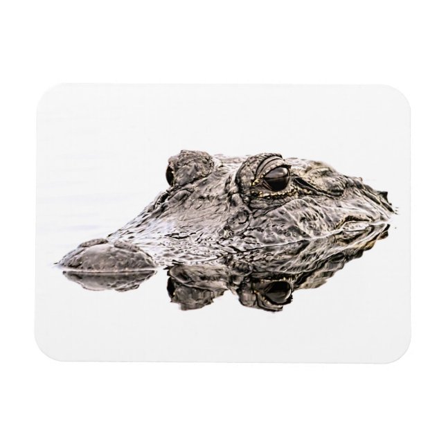 Ímã Gator Magnet (Horizontal)