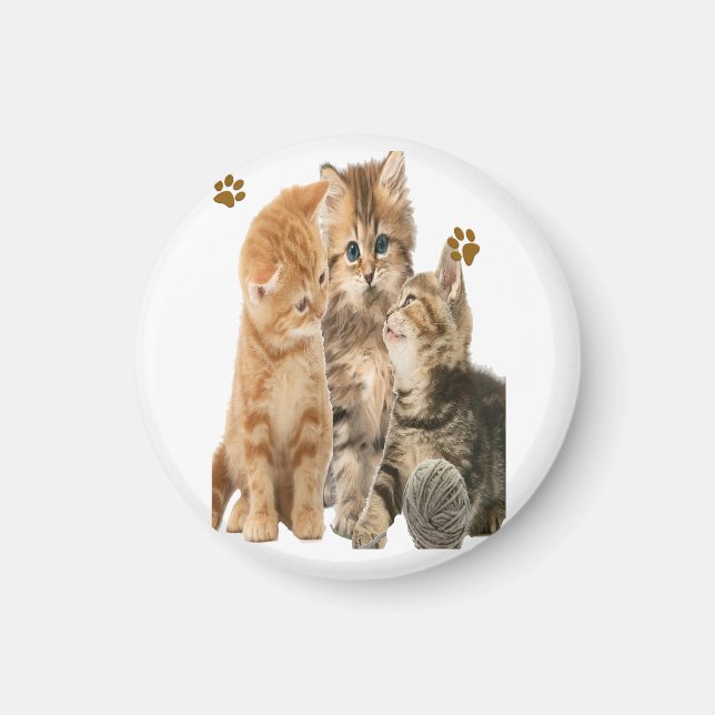 Imã Gatos (Frente)