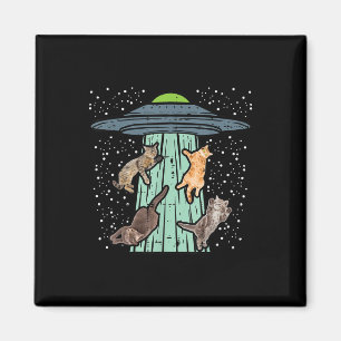 Imã Gatos Abduzidos Pela Ufo Engraçada Alienígena Espa