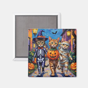 Imã Gatos Abissínios Trick-or-Treating em Fantasias de