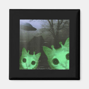 Imã Gatos Alien Ufo Engraçado Assustador Meme de Gato