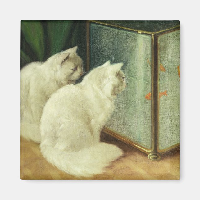 Imã Gatos Brancos Vendo Peixe-Sol (Frente)