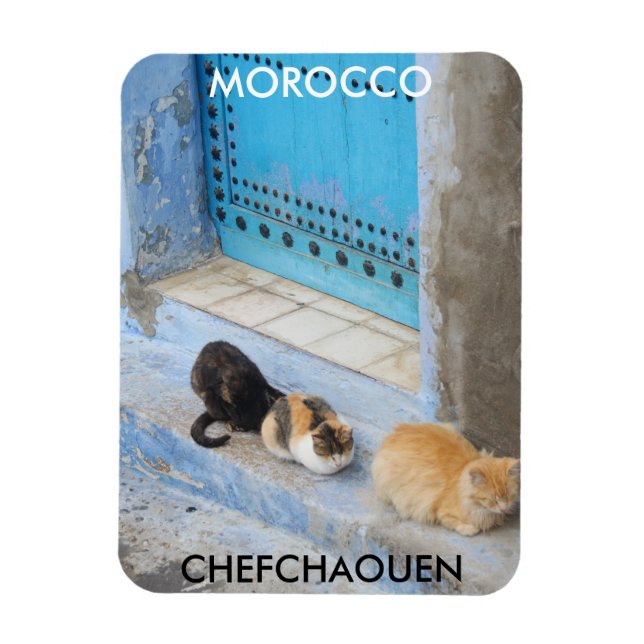 Ímã Gatos, Chefchaouen, Marrocos (Vertical)