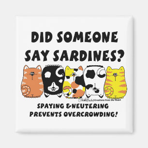 Imã Gatos da sardinha