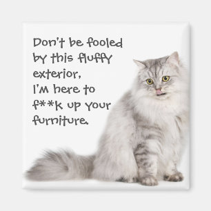 Imã Gatos de Badass