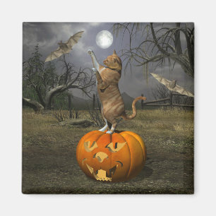 Imã Gatos De Batata De Gato De Laranja De Halloween