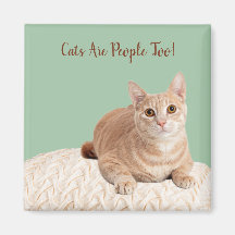 Gatos De Magnetos Cat Também São Pessoas