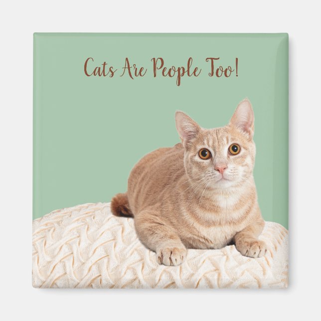 Imã Gatos De Magnetos Cat Também São Pessoas (Frente)