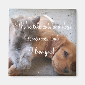 Imã Gatos e cães amam o Magnet