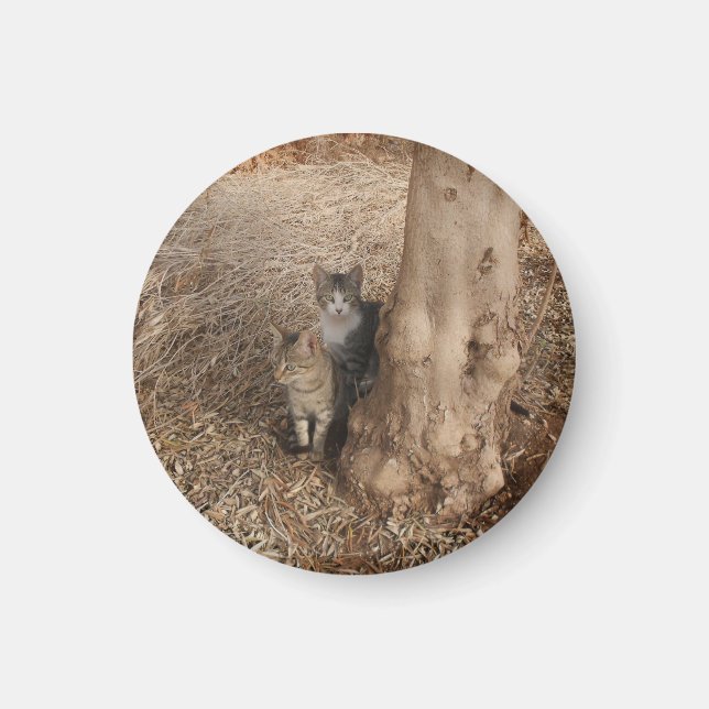 IMÃ GATOS EM MADEIRA (Frente)