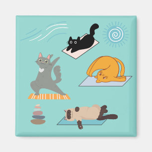 Imã Gatos Engraçados no Yoga