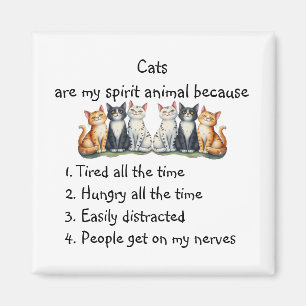 Imã Gatos engraçados são animais espirituais humor ado